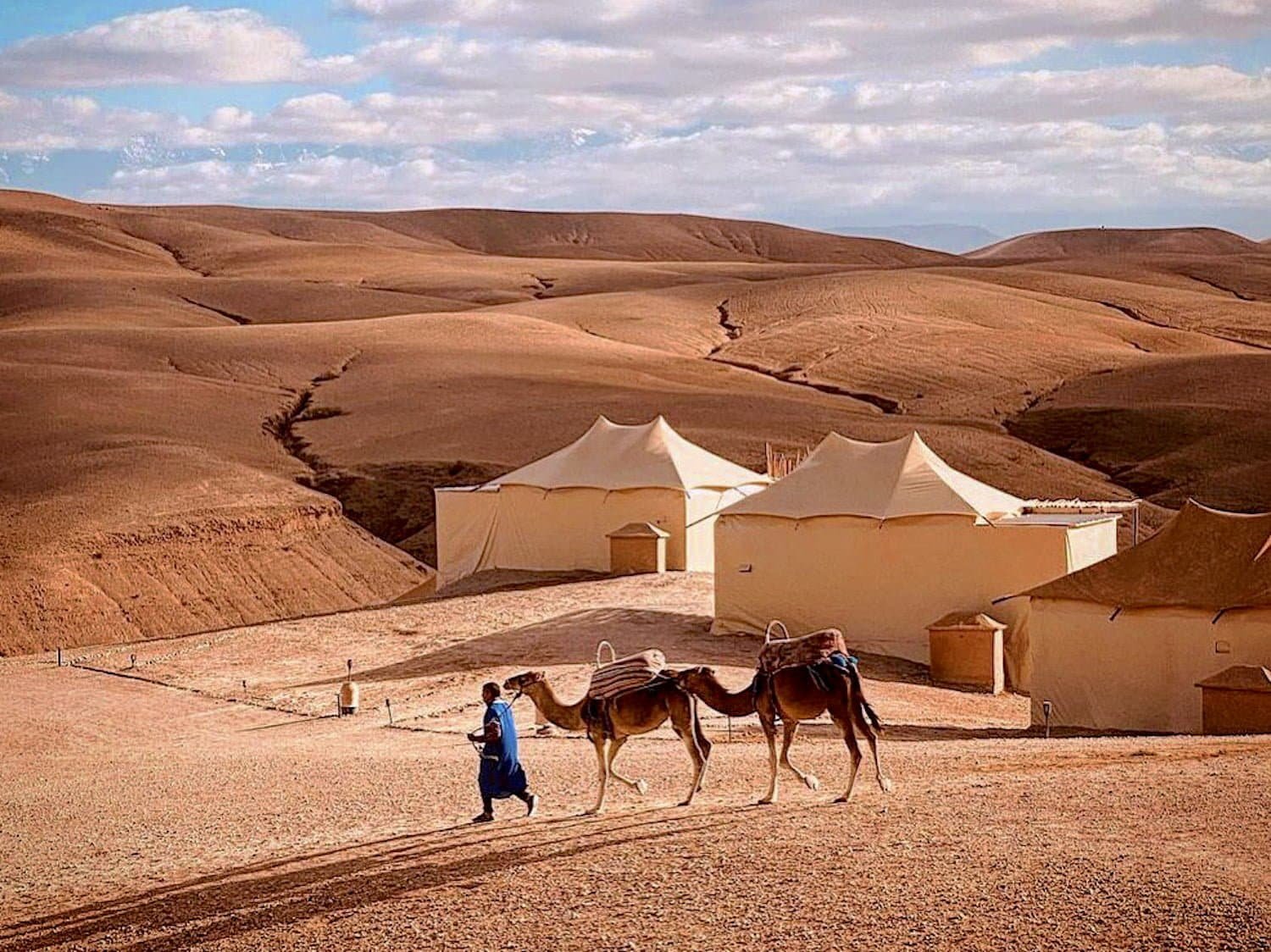 AGAFAY DESERT SUNSET CAMEL RIDE 564