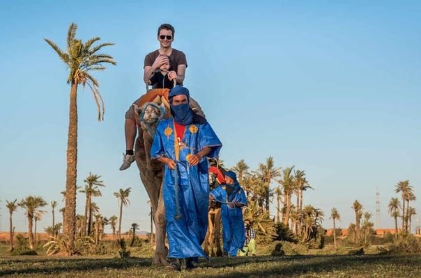 Activity Camel ride in marrakech palmeraie