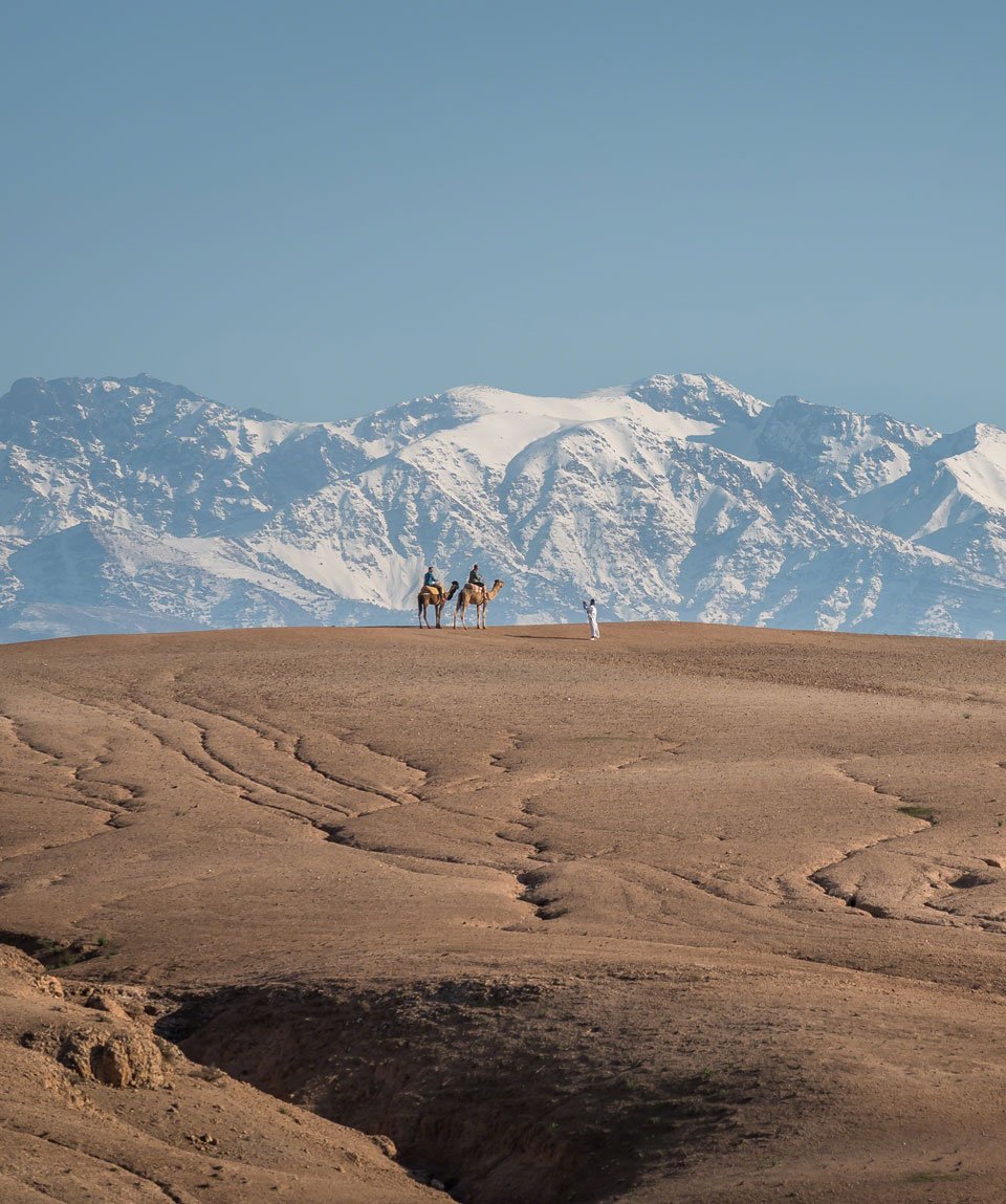 CAMEL RIDE IN AGAFAY & OURIKA VALLEY ADVENTURES 550