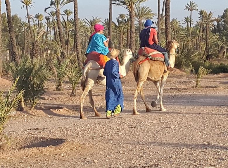 ACTIVITY CAMEL RIDE IN MARRAKECH PALMERAIE : 28