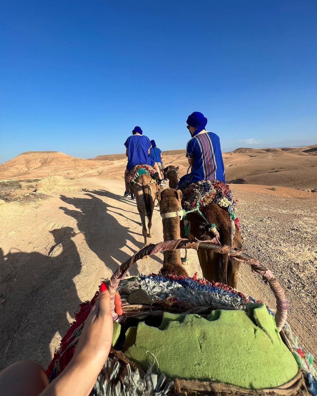 TRADITIONAL DINNER IN AGAFAY DESERT & CAMEL RIDE: 462