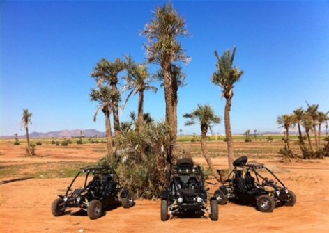 EXPLORING THE BUGGY IN THE PALMERAIE OF MARRAKECH