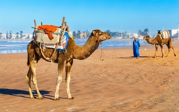 FULL DAY TRIP TO ESSAOUIRA BEACH FROM MARRAKECH